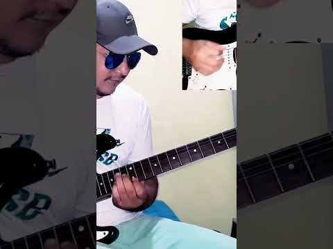 Profissional Papudinho - Roberto Villar