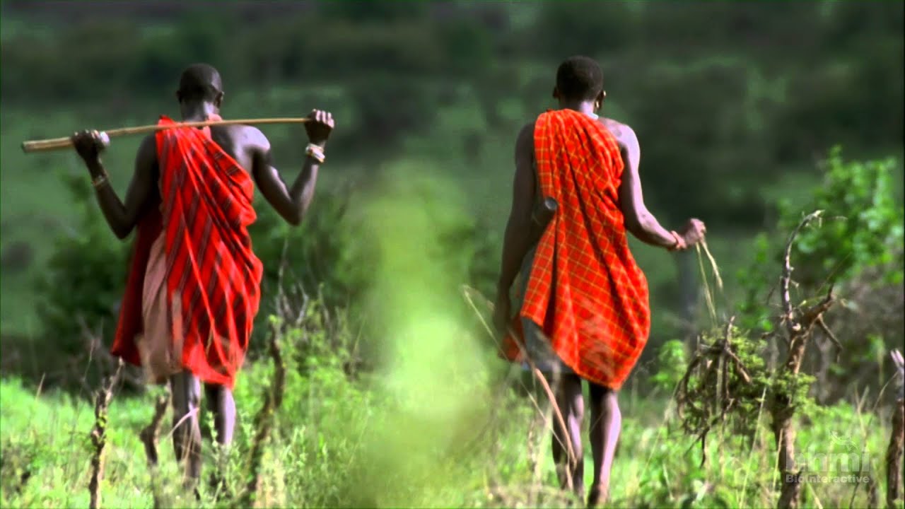 ¿Tienes lactasa? La coevolución de genes y cultura