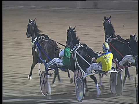 Trotto 04/09/2016 - 8° corsa