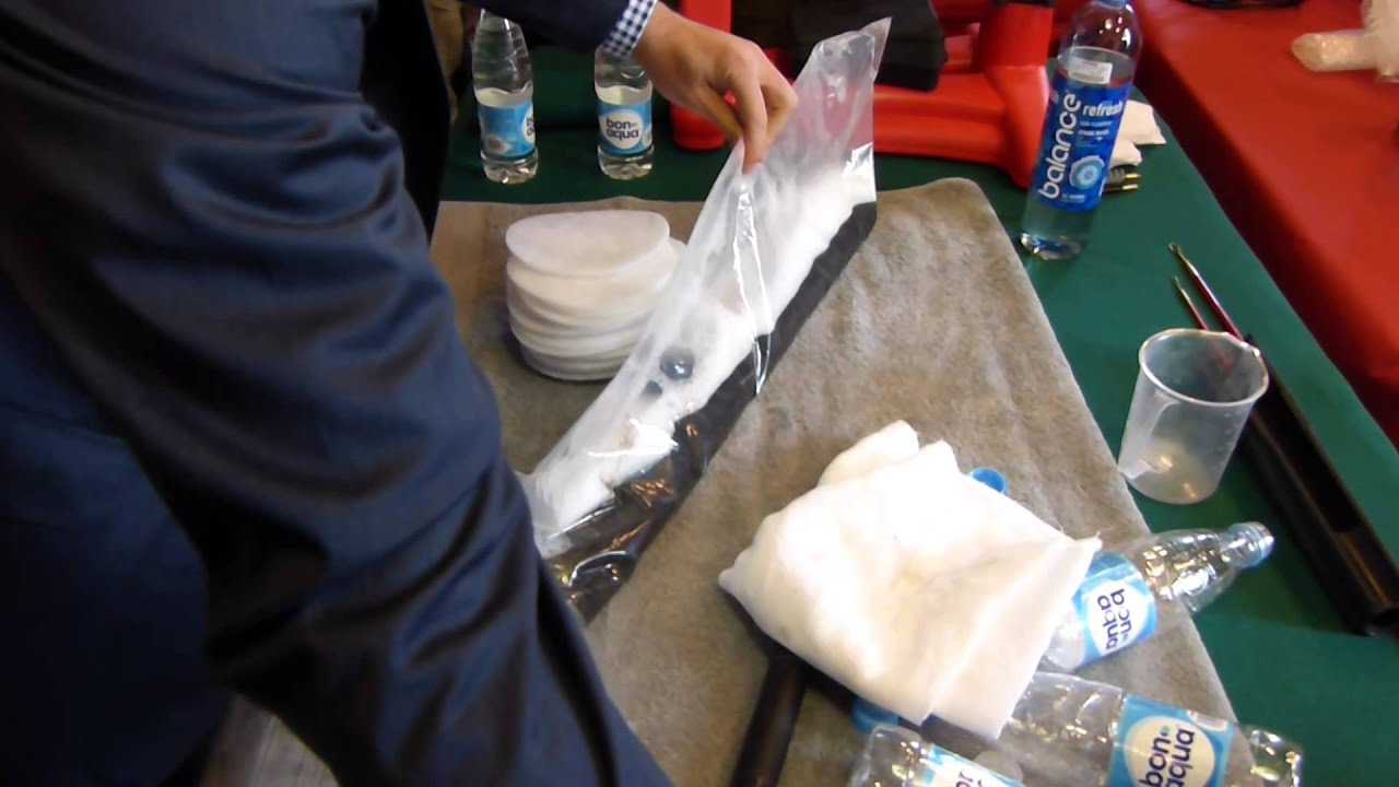 Pristine Cleaning Solution demo