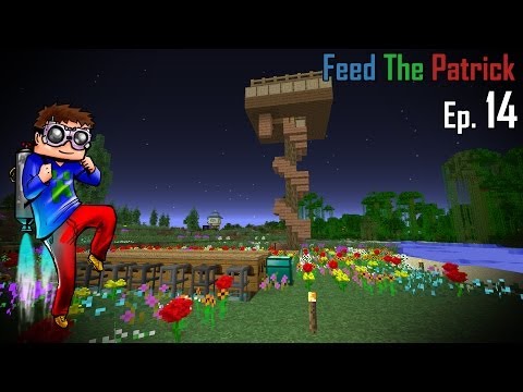 Feed The Patrick S02E14 - Croisements