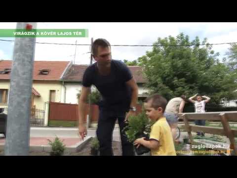 Virágzik a Kövér Lajos tér (Zuglói Média)