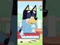 When Bluey Isn T Bluey Bluey Ytshorts