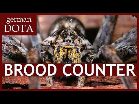 Der Kammerjäger ist da: Legion Commander als Brood Counter