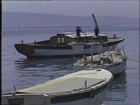 Jasna Zlokic Pjesmo Moja Spot