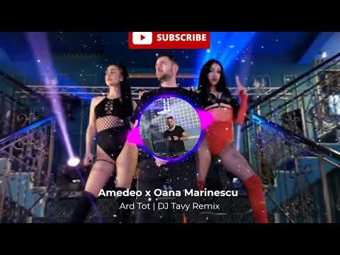 Amedeo & Oana - Ard  tot (DJTAVY remix)