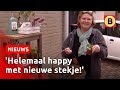 Plantjes ruilen is helemaal hot in Tilburg | Omroep Brabant