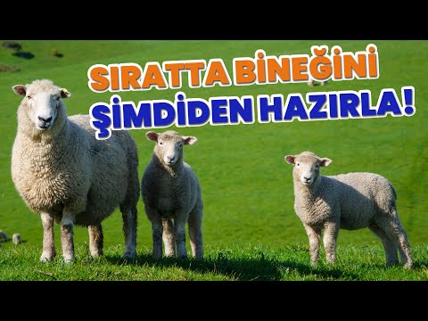 Sıratı Şimşek Gibi Geçmek İçin