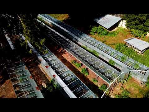 Au cœur de l'élevage