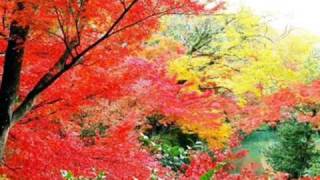 Jack Off Jill Strawberry Gashes Lyrics