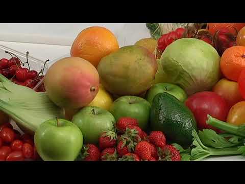 Blender Sirman   Frullatore Orione Vs centrifuga Corto