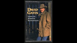 David Gates   Love is Always Seventeen (karaoke)