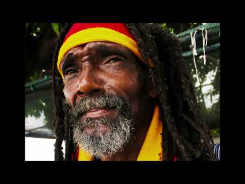 Carl Dawkins "Irie Crew Custom - Satisfaction" (Heartical Sound Dubplates)