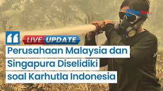 Perusahaan Malaysia & Singapura Diselidiki, Diduga Terlibat Kebakaran Hutan dan 