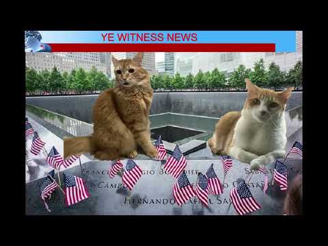 Cats Eye Witness News Live from the 911 Memorial