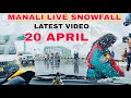 Manali Live Snowfall Latest Video April month || Budget Hotel Manali