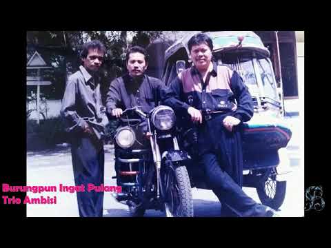 Trio Ambisi - Burungpun Ingat Pulang