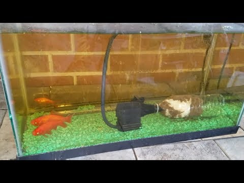 DIY Water Bottle Filter - Insanely Fast & Easy - Clean Your Fish Tank or Aquarium & Keep It Clean