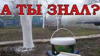 Ссылка