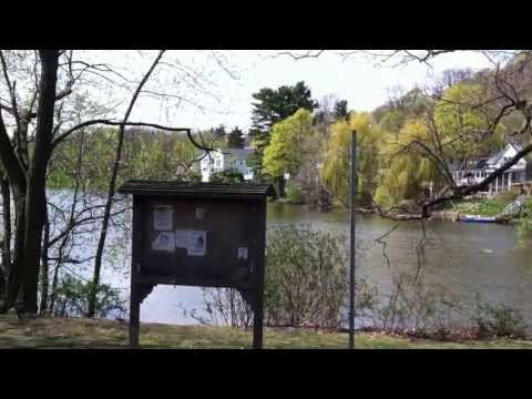 Chandler's Pond, Brighton, MA.