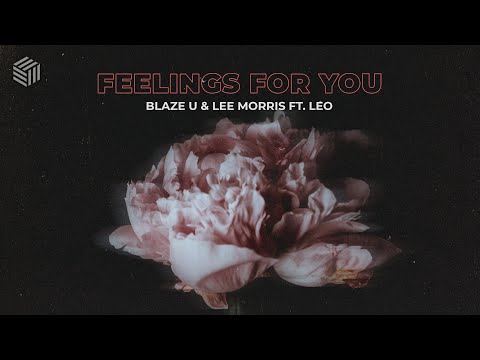 Blaze U & Lee Morris - Feelings For You (ft. Leo)
