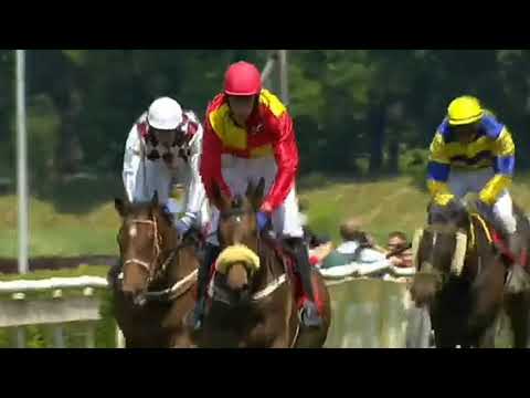 Charneval ×Charmillon - 131. Velká Pardubická