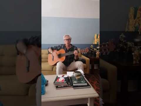 O porquinho foi a horta