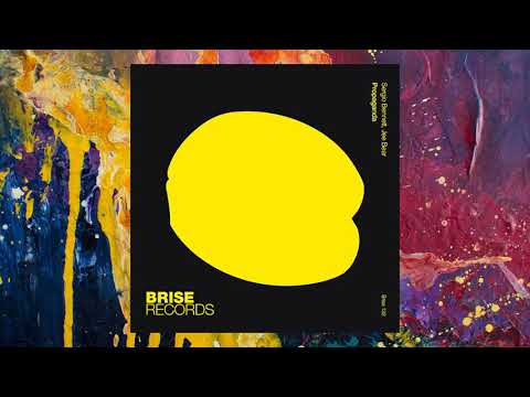 Sergio Bennett, Jee Bear — Propaganda (Original Mix)