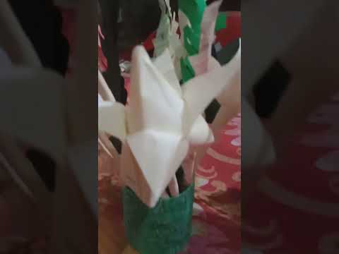 captivating beauty of flowers video#sajeda akter presentations.