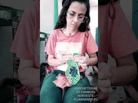 CROCHETEIRA DE CAMBUCI NOROESTE FLUMINENSE RJ