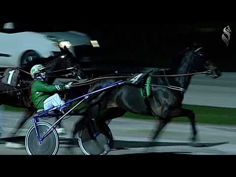 Aversa trotto 18 Dicembre 2021 - 7° Corsa