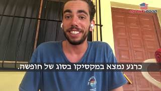 המלצה 2