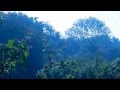 Sam Baker - Migrants - Album Version