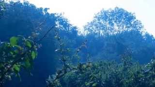 Sam Baker - Migrants - Album Version