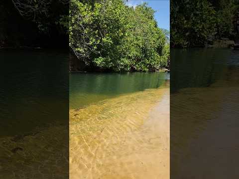 #shorts OS ENCANTOS DE NOSSA REGIÃO