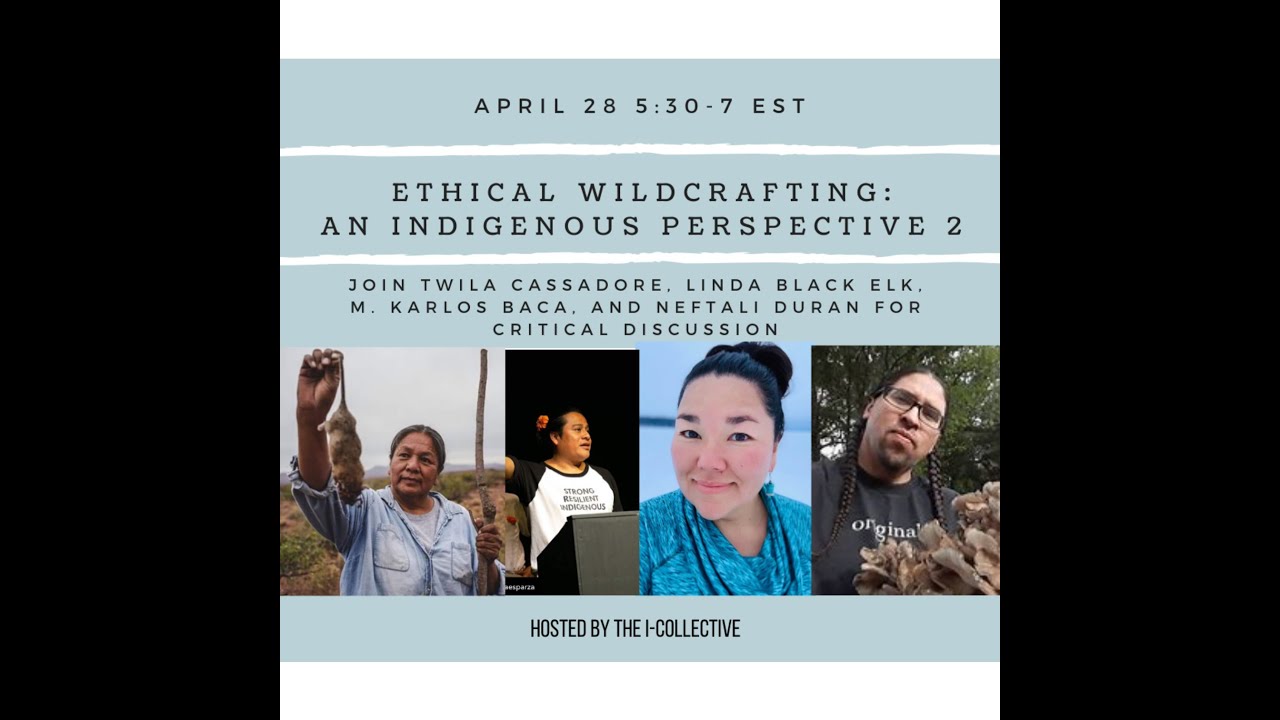 I-Collective Ethical Wildcrafting 2 - YouTube