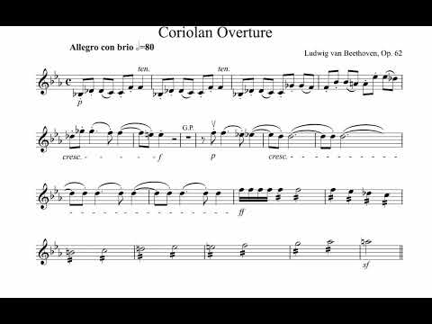 Beethoven Coriolan Overture, violin orchestra excerpt, violin orchestra study
