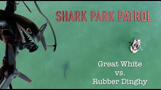 SHARK PARK PATROL - Ep5 - Great White vs. Rubber Dinghy (DJI FPV) фото