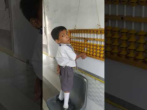 ABACUS IN L.S.A.