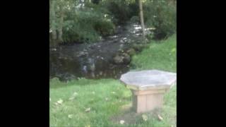 Hook, Line, and Sinker by Emma Forman