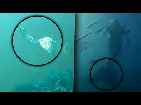 10 Evidencias de que existen las sirenas