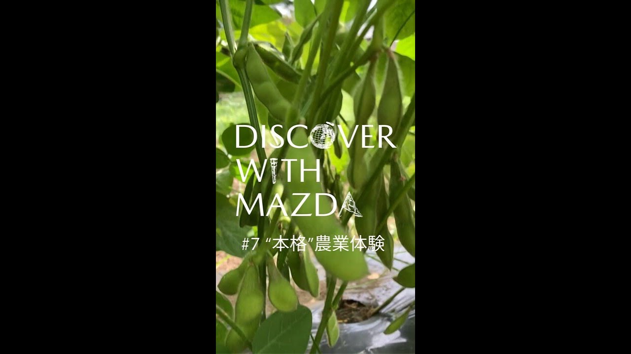 【DISCOVER with MAZDA】”本格”農業体験しませんか？