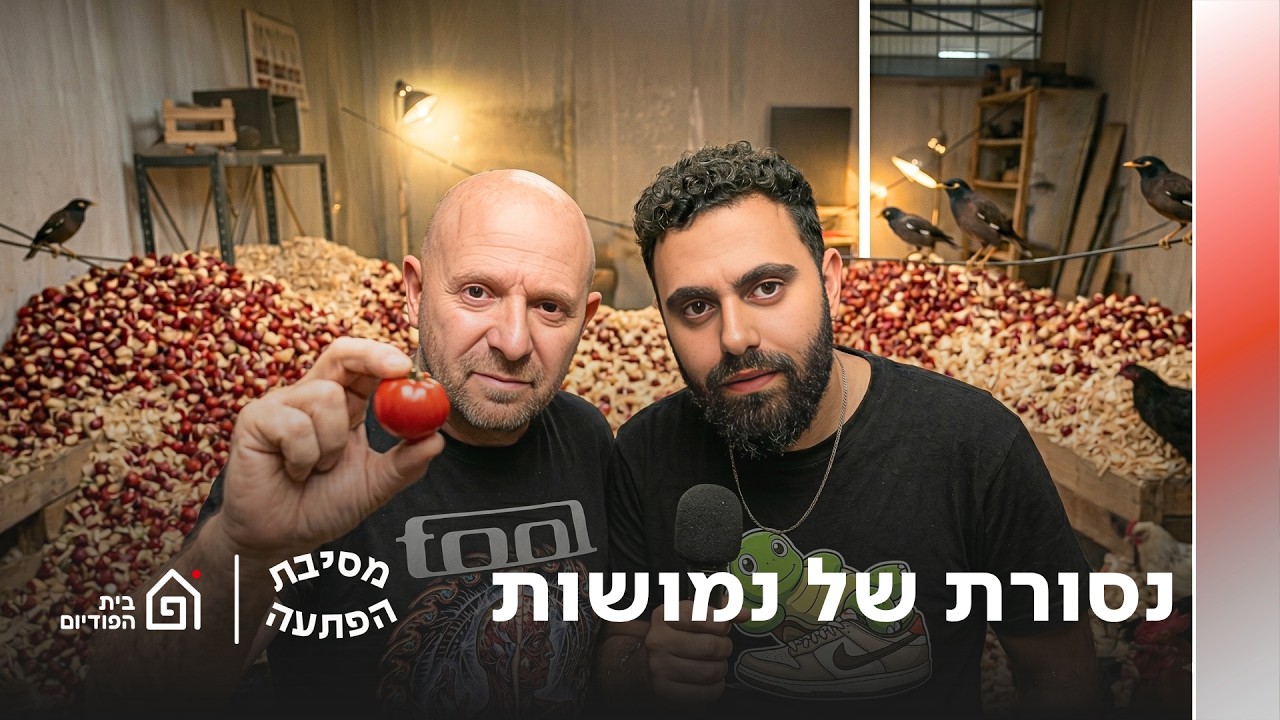 נסורת של נמושות | מסיבת הפתעה, פרק 84