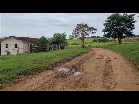 Enfrentamos cães e vacas pra chegar na ponte da esteque Alterosa MG