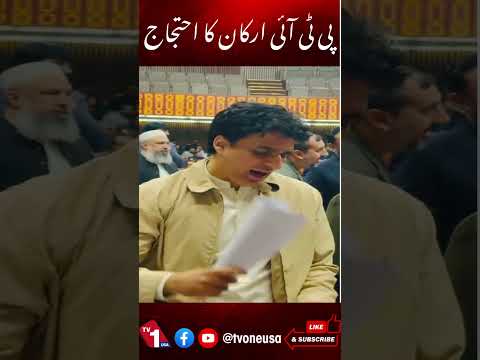 27ویں آئینی ترمیم ، پی ٹی آئی ارکان کا احتجاج