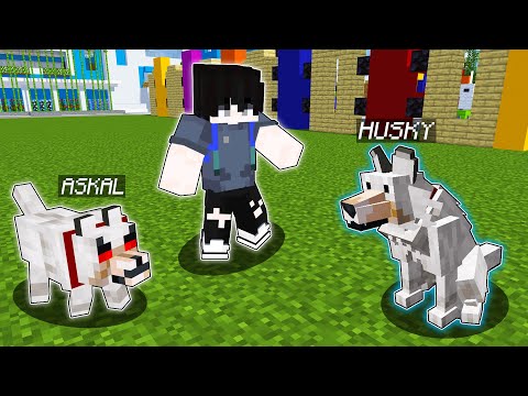 Ar Ar Plays - ALL ANIMALS Became REALISTIC in Minecraft | OMO City