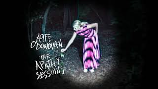 Aoife O'Donovan - "Drover" (Bill Callahan cover)