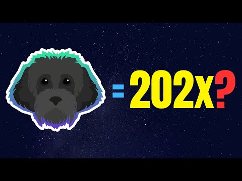 Myro: Could it Reach $5 During This Bull Run? | MYRO Price Prediction