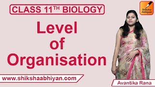 Level of Organisation | Animal Kingdom | CBSE Class 11 Biology