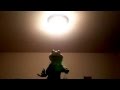 My Kermit The Frog Puppet Sings I Love My Elbows